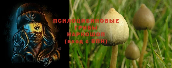 стафф Абдулино