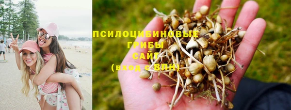 не бодяженный Абаза