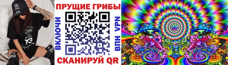 Псилоцибиновые грибы мицелий  Судогда 