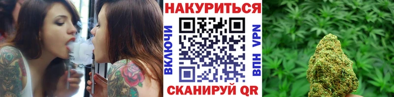 купить наркотики цена  ссылка на мегу как войти  Канабис сатива  Судогда 